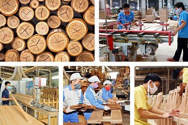 Kim ngạch xuất khẩu gỗ liên tục gia tăng